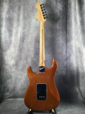 Fender American Special Stratocaster_5