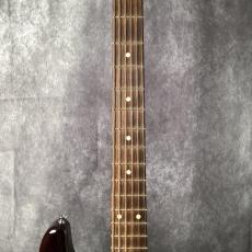 ALLPARTS Component Stratocaster_3