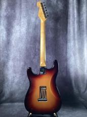 ALLPARTS Component Stratocaster_5