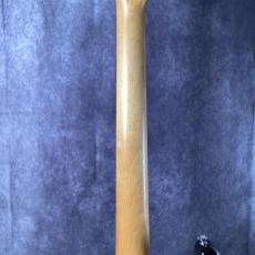 ALLPARTS Component Stratocaster_7