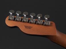 Fender Acoustasonic Standard Telecaster ~Honey Burst~_9