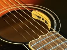 Gibson SJ-200 Standard Triburst【#20455045】_9