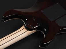 Jackson Pro Plus Series Dinky DKAQ  ~Ghost Burst~_11