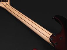 Jackson Pro Plus Series DKA ~Oxblood~_10