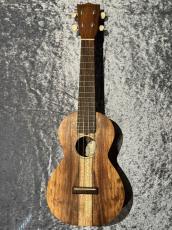 Martin C1K【ハワイアンコア単板】【コンサート】【日本総本店アコ】