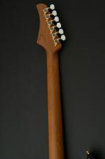 T's DST-Pro 24 5A Flame Maple -Vintage Honey Burst / Steps Black Matt Back-_9