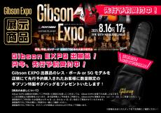 Gibson 【Gibson Expo 出展品】1958 Les Paul Junior Double Cut Reissue VOS TV Yellow s/n 85044【セカンド品】_11