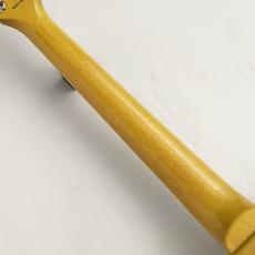 Tokai LSS-101 ~See Through Yellow~ 3.92kg #2551338_7