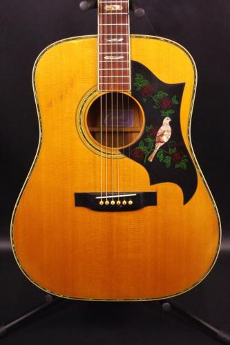 CANYON W-50