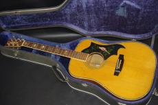 CANYON W-50_2