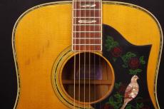 CANYON W-50_8