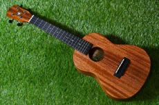 Millar CPA-E Concert【S/N 040】_3