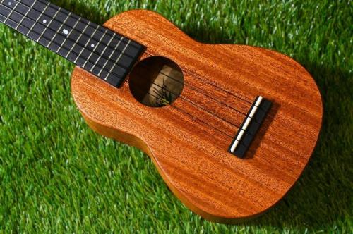 Millar SLPA-E Soprano Longneck【S/N 031】