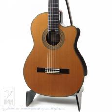 Nishino Shunpei [西野春平] NR-3 杉 CW (630mm)