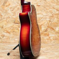 Taylor C14ce B5018_5