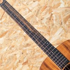 Taylor Jacob Collier Signature Model  JCSM-5_6