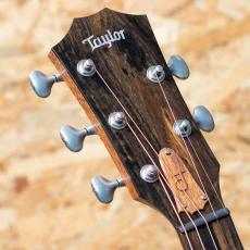 Taylor Jacob Collier Signature Model  JCSM-5_8