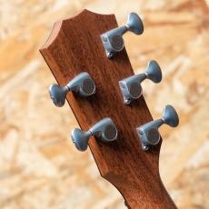 Taylor Jacob Collier Signature Model  JCSM-5_9