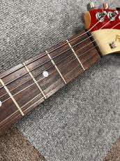 FERNANDES ZO-3 ウルトラマン_6