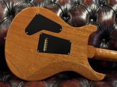 Paul Reed Smith [PRS] Custom24 10 Top ~Eriza Verde~ 2015年製 [約3.45㎏]_8