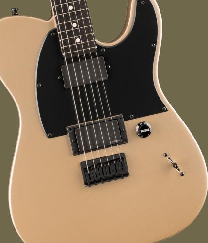 Fender Limited Edition Jim Root Telecaste -Shoreline Gold-  【ご予約受付中!】