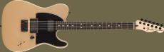 Fender Limited Edition Jim Root Telecaste -Shoreline Gold-  【ご予約受付中!】_3