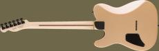 Fender Limited Edition Jim Root Telecaste -Shoreline Gold-  【ご予約受付中!】_5