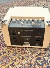 Phil Jones Bass Bass Cub Pro - White -_4