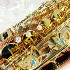 YANAGISAWA 【現物写真】T-WO2_4