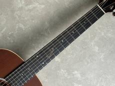 Taylor GS Mini-e S E HB_5