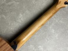 Taylor GS Mini-e S E HB_9