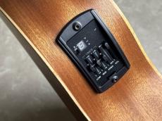 Taylor GS Mini-e S E HB_11