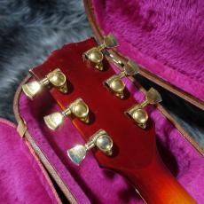 Gibson 1973 Les Paul Custom Mod._9