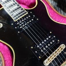 Gibson 1973 Les Paul Custom Mod._10