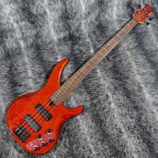 YAMAHA TRBX604FM CMB_2