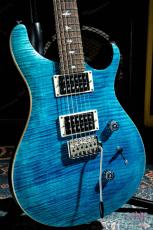 Paul Reed Smith [PRS] SE Custom24_2