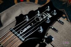 Paul Reed Smith [PRS] SE Custom24_3