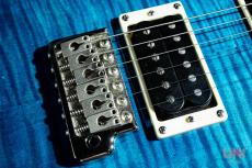 Paul Reed Smith [PRS] SE Custom24_6
