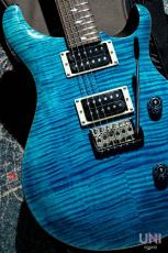 Paul Reed Smith [PRS] SE Custom24_10