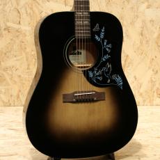 Epiphone Eric Church Hummingbird Dark Studio CB