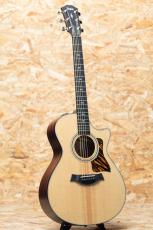 Taylor 312ce_3