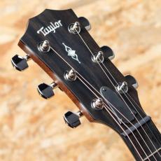 Taylor 312ce_8