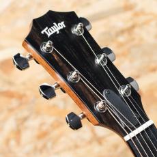 Taylor 414ce Studio NAT_8