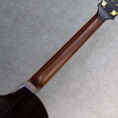 Starsun Guitars R60_8