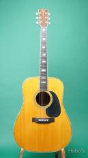 Martin D-45_2