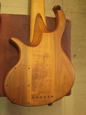 elrick Platinum Series 6弦フレットレス_5