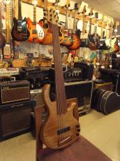 elrick Platinum Series 6弦フレットレス_9