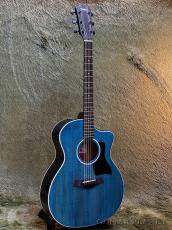 Taylor 214ce Plus Special Edition -Trans Blue- #2203185435 【48回迄金利0%対象】【送料当社負担】_2