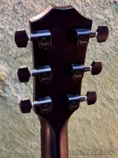Taylor 214ce Plus Special Edition -Trans Blue- #2203185435 【48回迄金利0%対象】【送料当社負担】_5