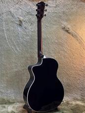 Taylor 214ce Plus Special Edition -Trans Blue- #2203185435 【48回迄金利0%対象】【送料当社負担】_7